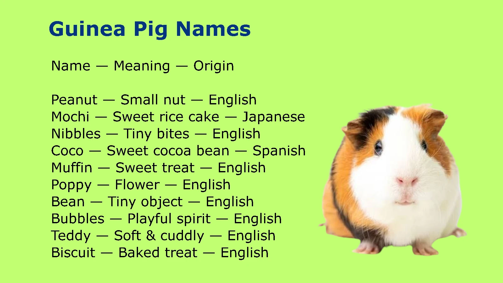 Guinea Pig Names