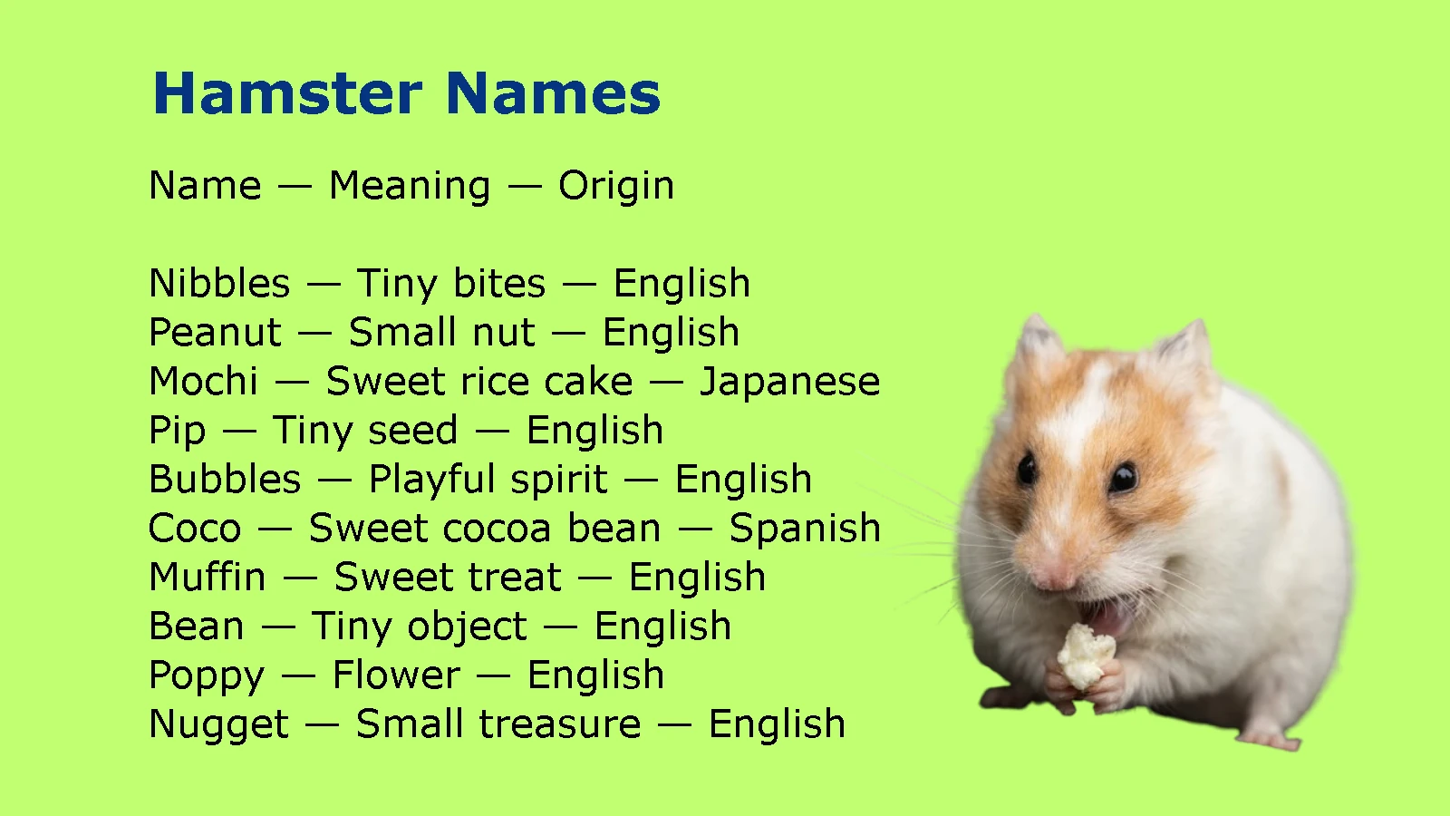 Hamster Names