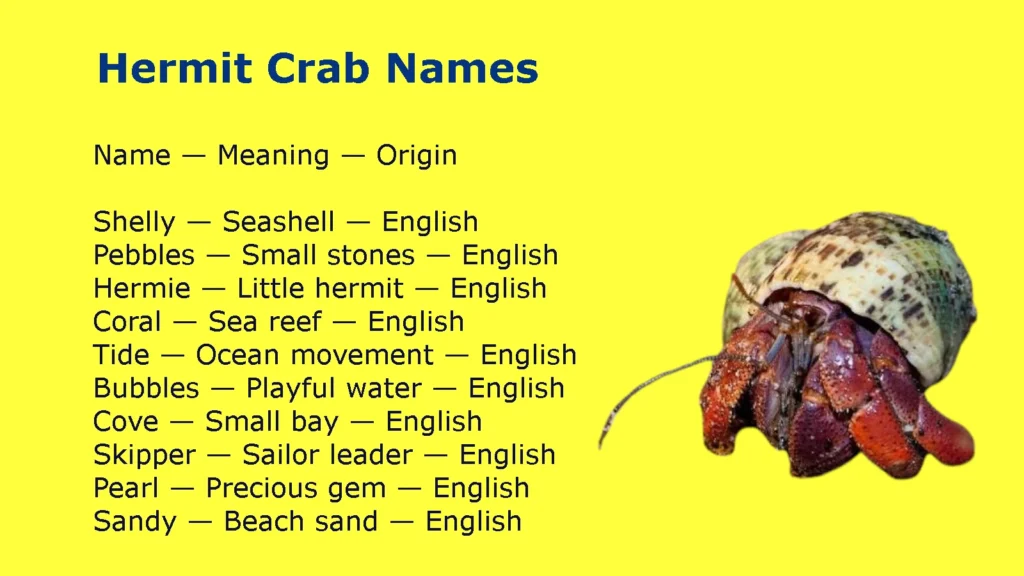Hermit Crab Names