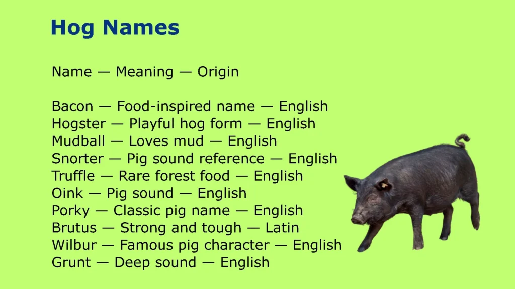 Hog Names