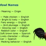Junglefowl Names