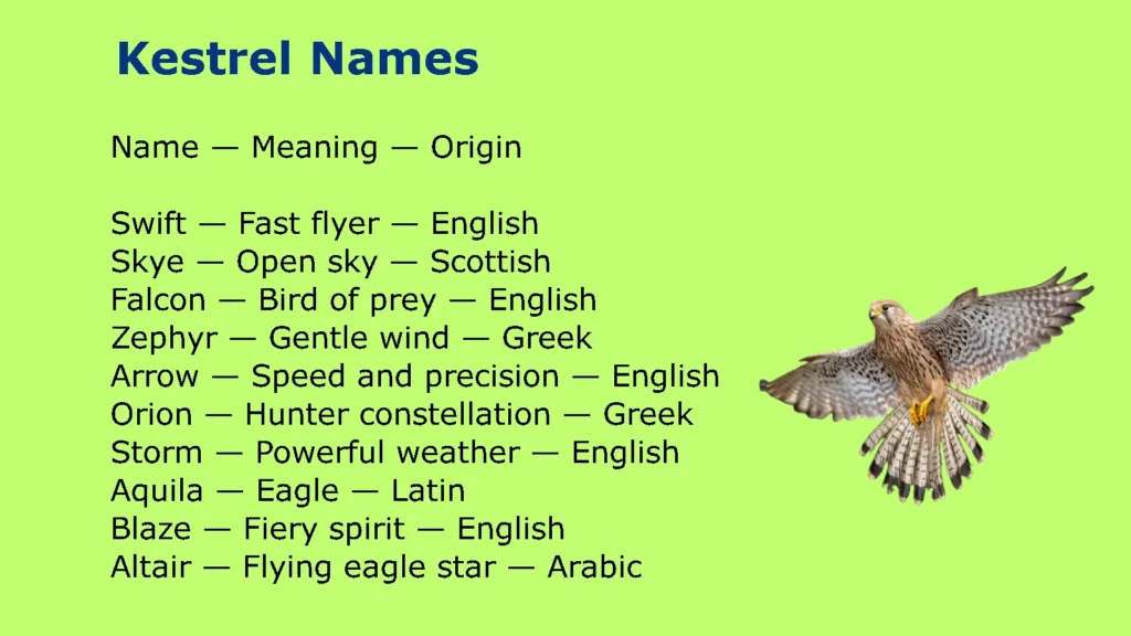 Kestrel Names