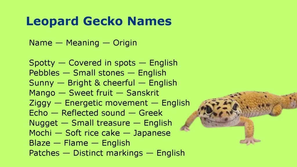 Leopard Gecko Names