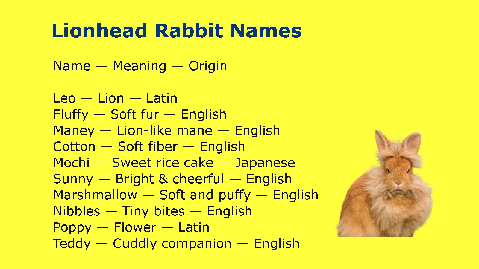 Lionhead Rabbit Names