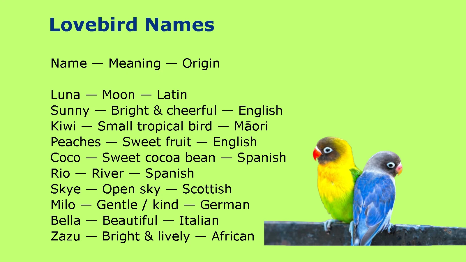 Lovebird Names
