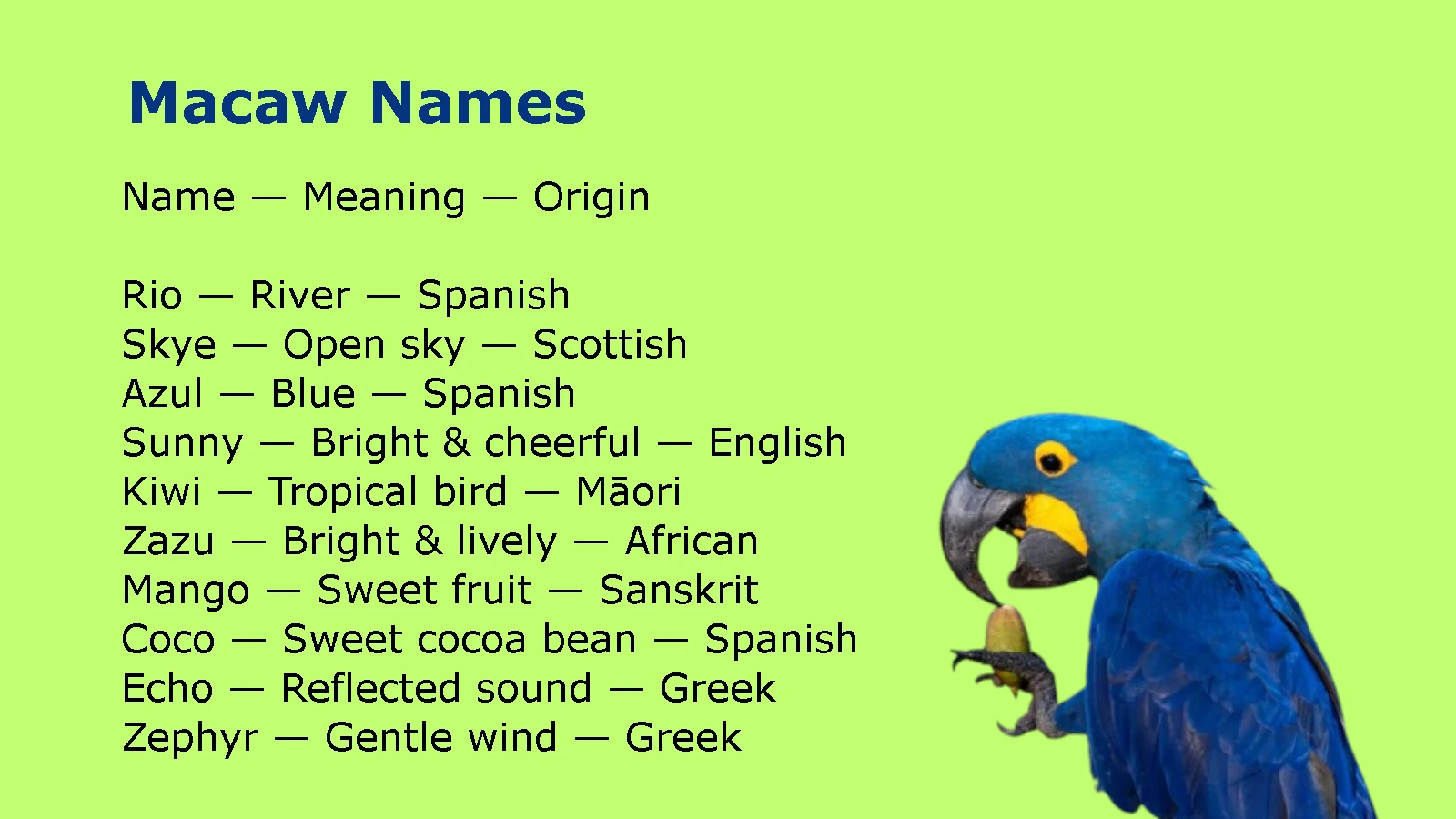 Macaw Names