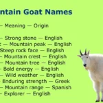 Mountain Goat Names