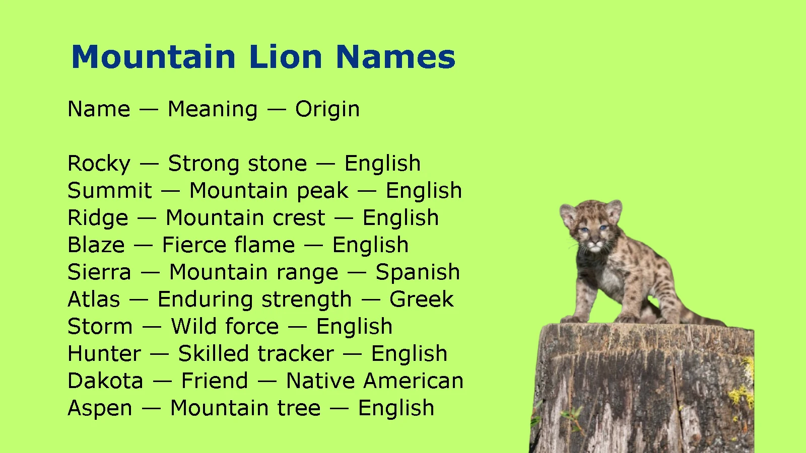 Mountain Lion Names
