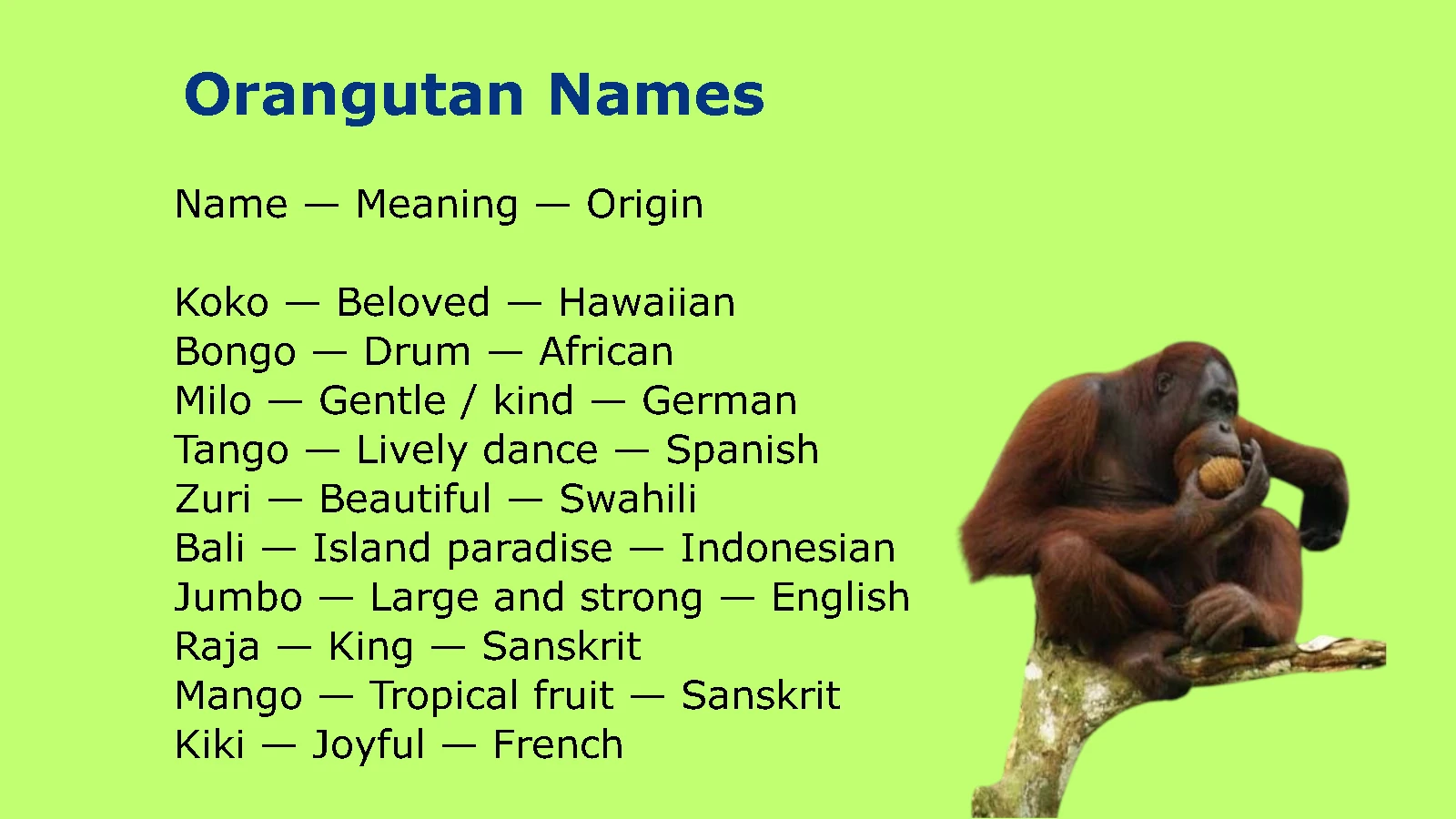 Orangutan Names
