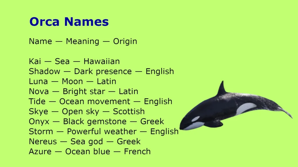 Orca Names