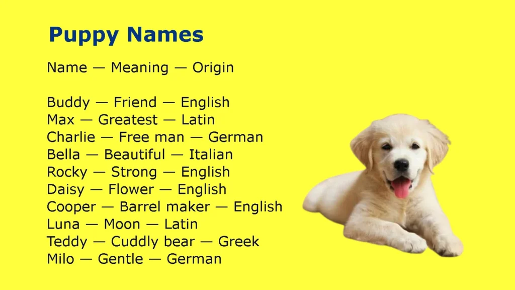 Puppy Names