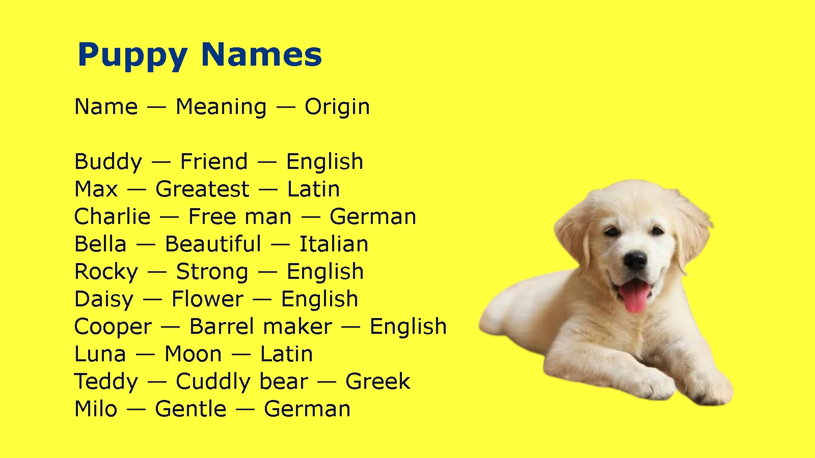 Puppy Names