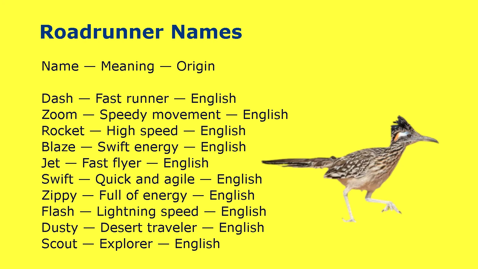 Roadrunner Names
