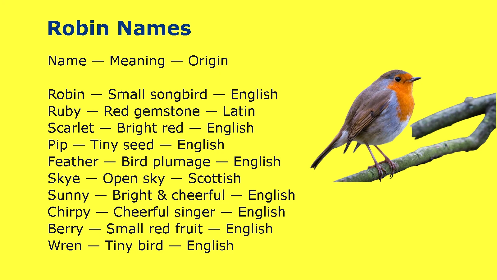 Robin Names