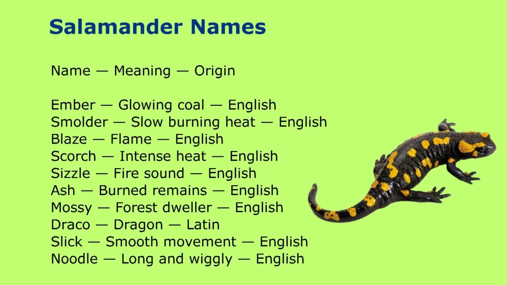 Salamander Names
