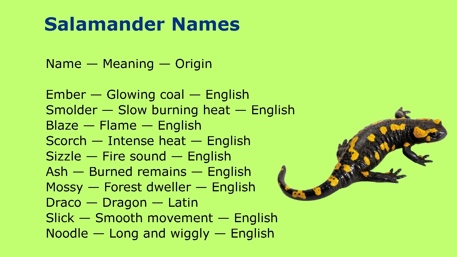Salamander Names