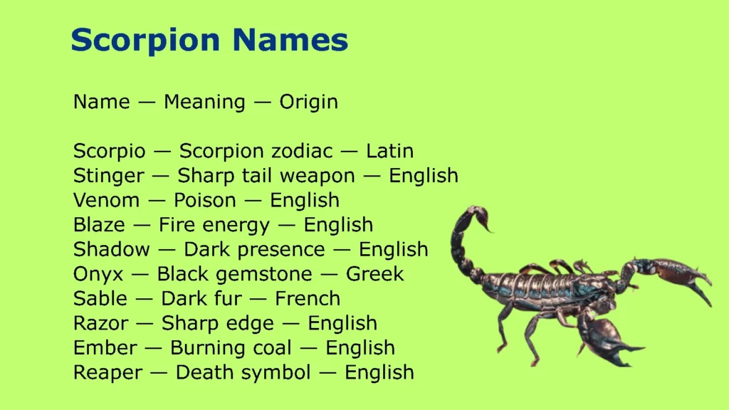 Scorpion Names