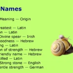 Snail Names