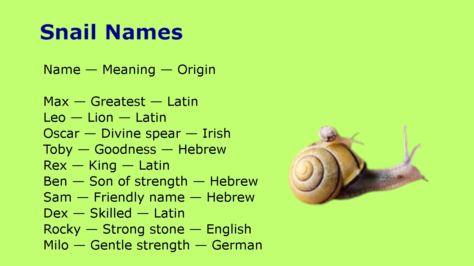 Snail Names