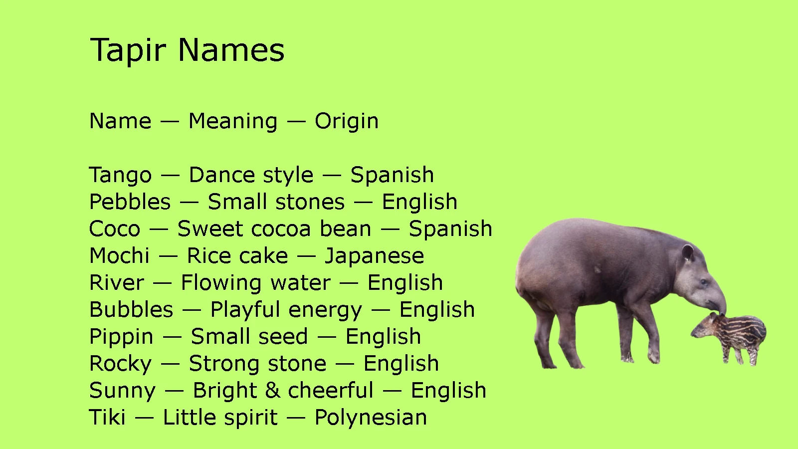 Tapir Names