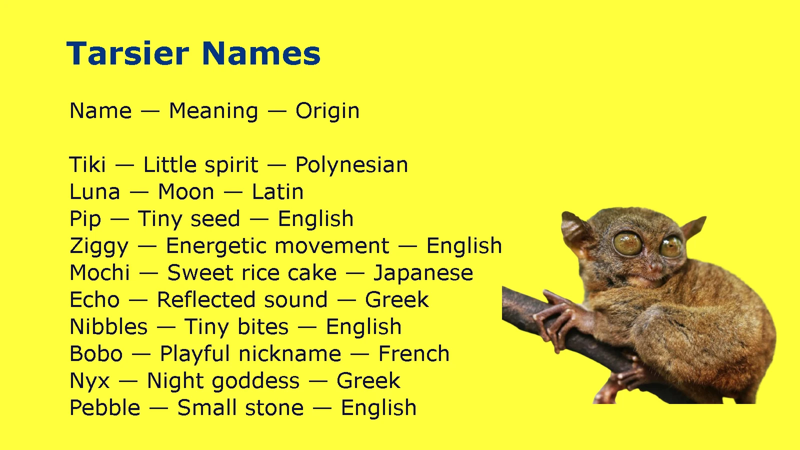 Tarsier Names