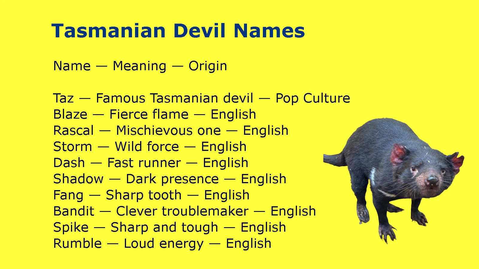 Tasmanian Devil Names
