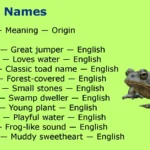 Toad Names