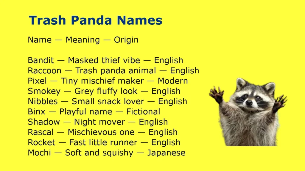 Trash Panda Names