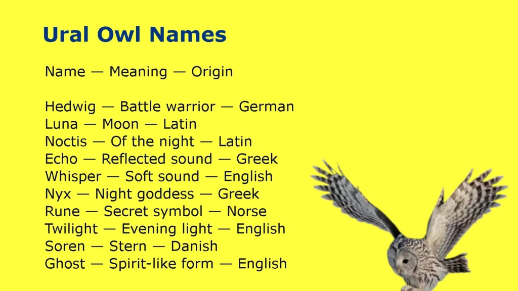 Ural Owl Names