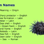 Urchin Names