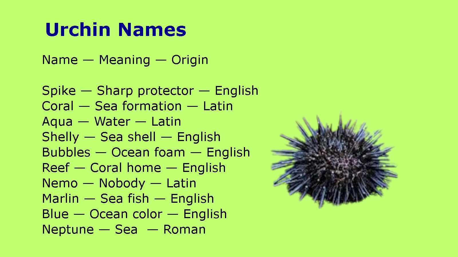 Urchin Names