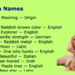 Vizsla Names