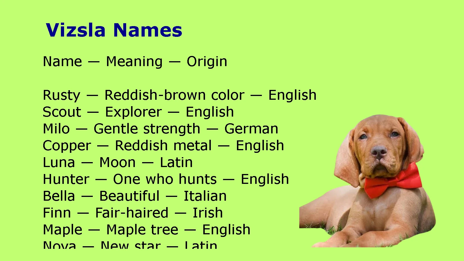 Vizsla Names