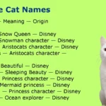 White Cat Names