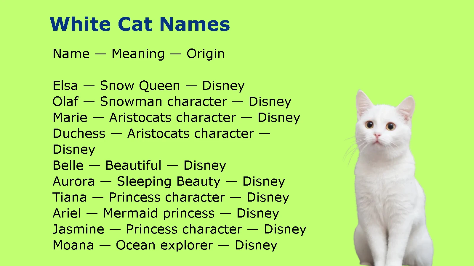 White Cat Names