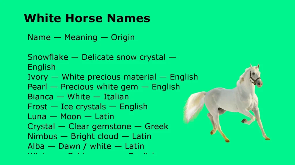 White Horse Names