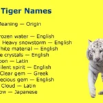 White Tiger Names