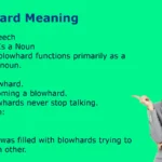 Blowhard Meaning