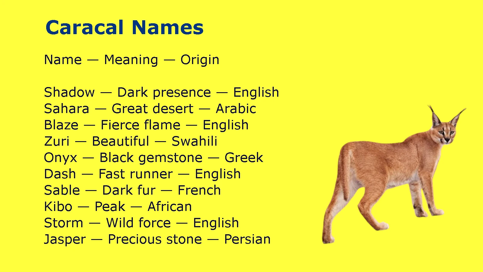 Caracal Names