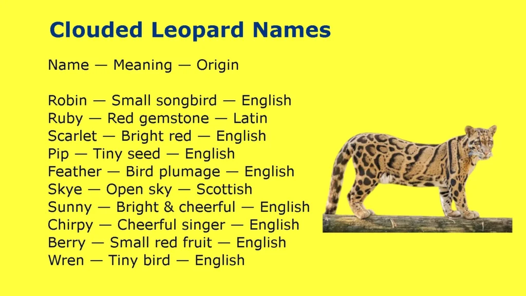 Clouded Leopard Names