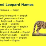 Clouded Leopard Names