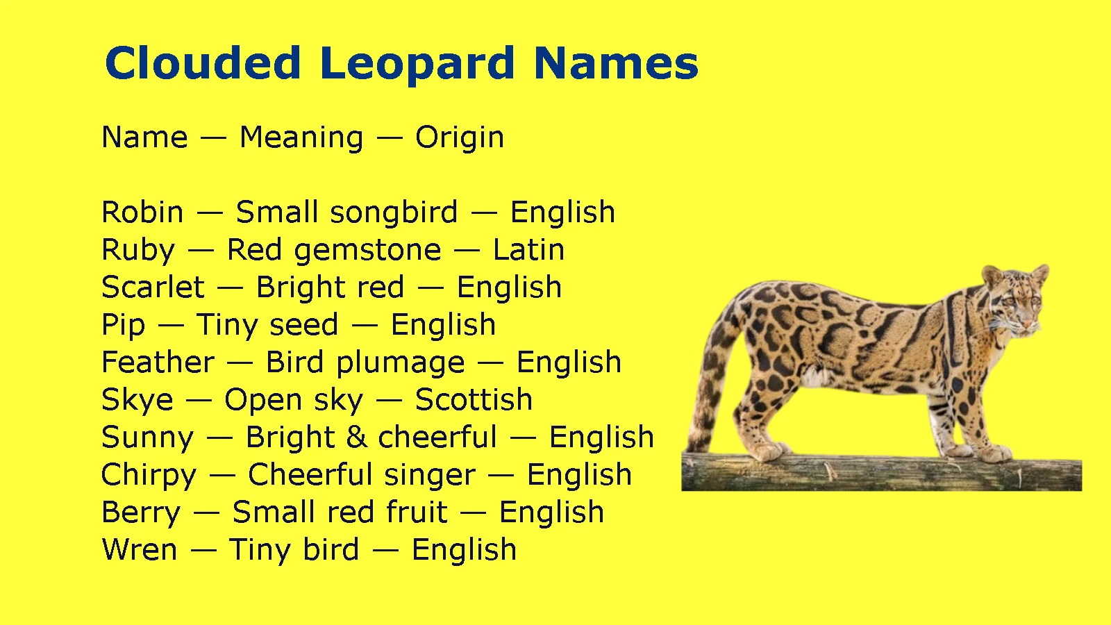 Clouded Leopard Names
