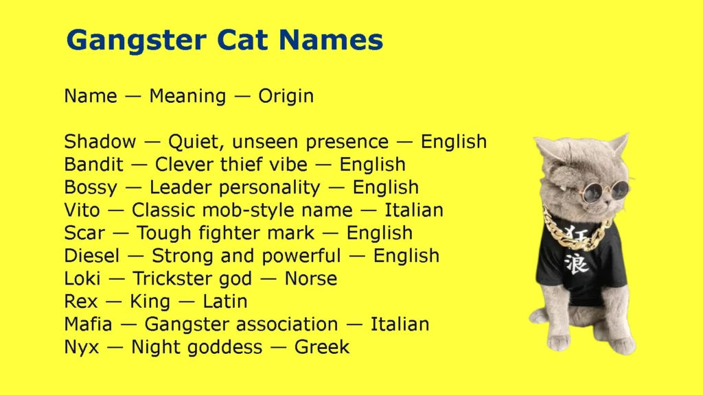 Gangster Cat Names