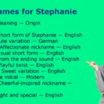 Nicknames for Stephanie