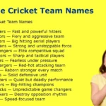 Unique Cricket Team Names