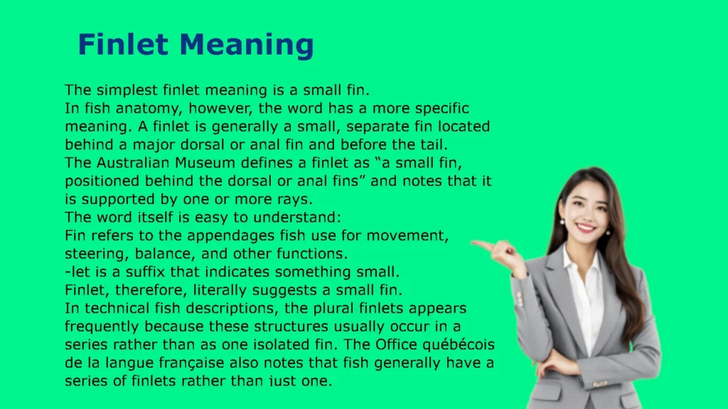 Finlet Meaning