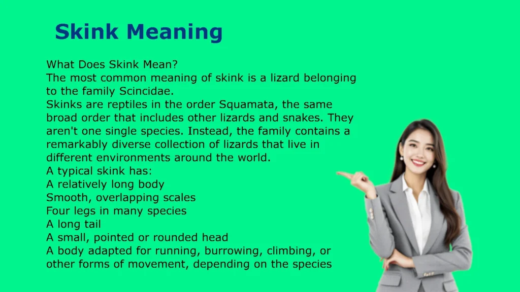 Skink Meaning