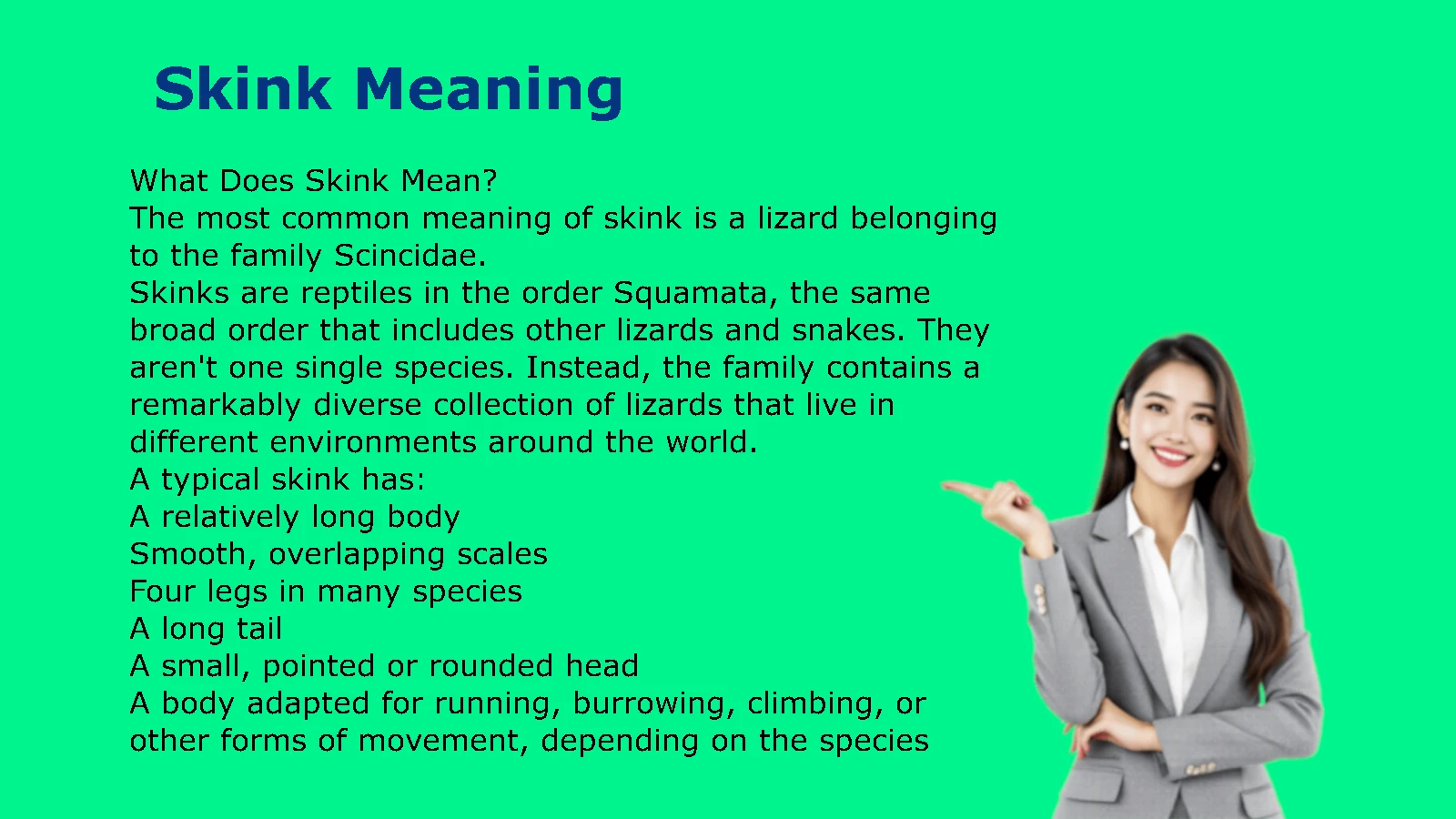 Skink Meaning