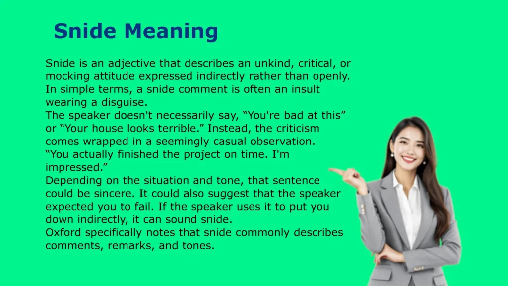 Snide Meaning