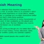 Snobbish Meaning